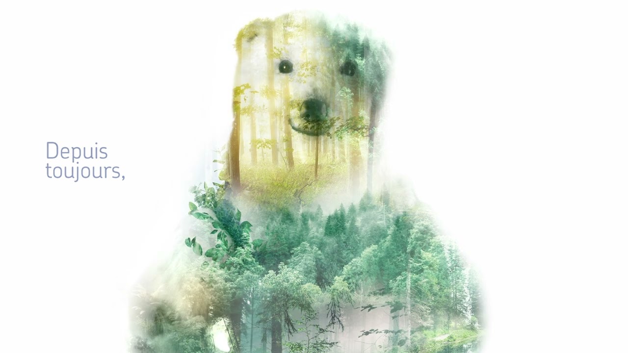 TEASER COUP DOUBLE POUR LA PLANETE