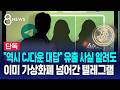 [단독] "코인으로 대화방 거래"..커지는 '2차 피해' 우려 / SBS 8뉴스