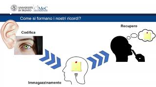 CeRiN AllenaMente | Esercizi di Memoria