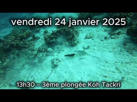 PLONGEE 3 KOH TACKRI THAILANDE 2025