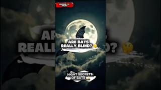 Are Bats Really Blind? 🦇 Myth vs Truth!
