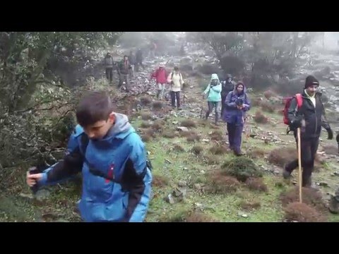 Άγιος Υάκινθος -