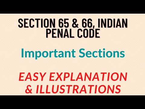 Section 65 &