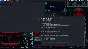Windows Privilege Escalation 6 - Educational Purposes Only