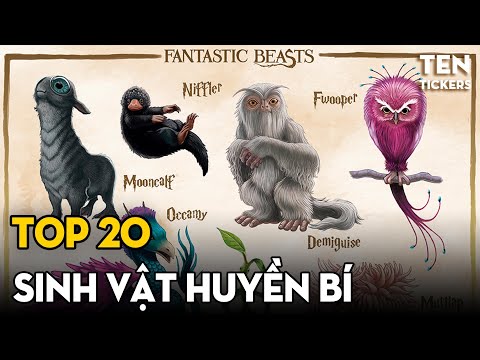 Video TOP 20 Con Giáp Huyền Bí Và Sao Để 