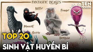 TOP 20 Con Giáp Huyền Bí Và Sao Để 'Nuôi' Chúng?! | FANTASTIC BEASTS Harry Potter Series