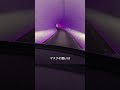 テスラだけが走れる地下!?