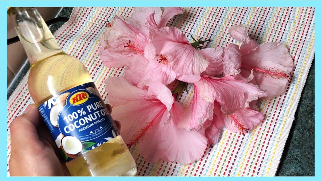 HOMEMADE HIBISCUS OR GUMAMELA OIL FOR HAIR GROWTH MAY GUMAMELA SA