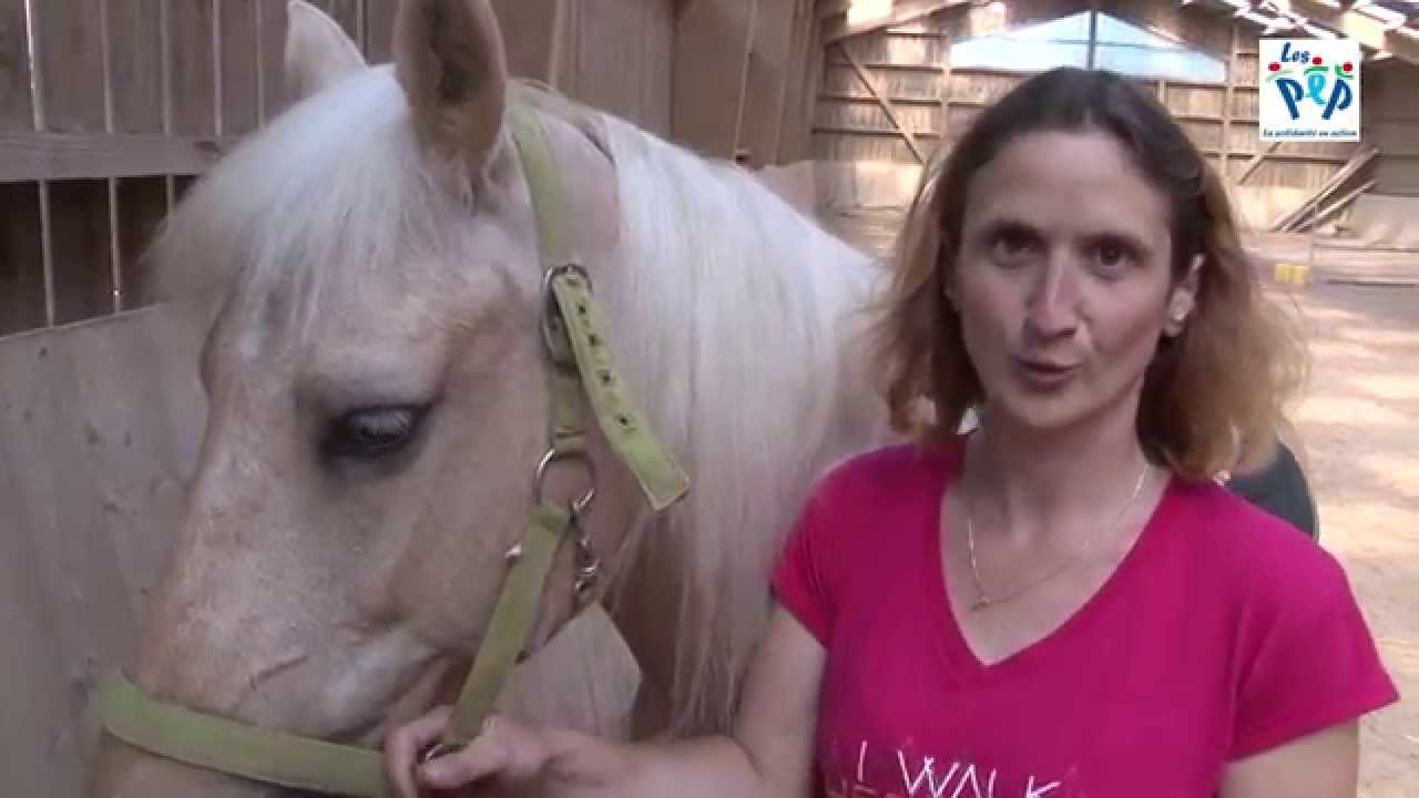 Centre équestre / La Combelle PEP 54