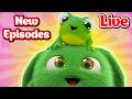Sunny Bunnies New Episodes Livestream 24 7 Cartoons For Kids 