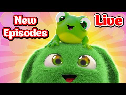 🔴 Sunny Bunnies New Episodes Livestream - 24/7 Cartoons for Kids