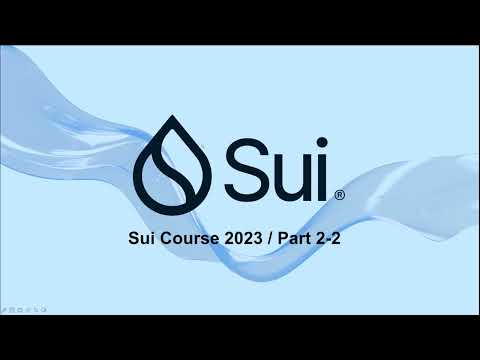 Parameter Passing and Object Deletion | Move on Sui Course 2.2
