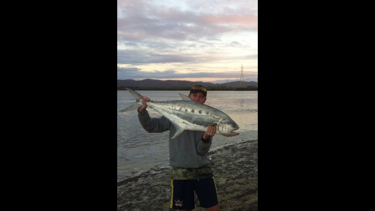 Catching 107cm Queenfish on the bank at the Hot water outlet Gladstone. YouTube