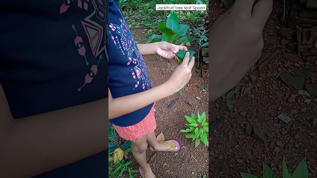 Jackfruit leaf Spoon 