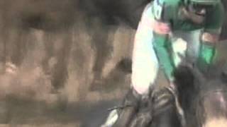 Racing Term #123 Gallop Out of Frankie Lovato's 365 Days of Terminology