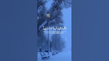 ما قلت لهم إلا ما أمرتني به - محمد الغزالي - سورة المائدة