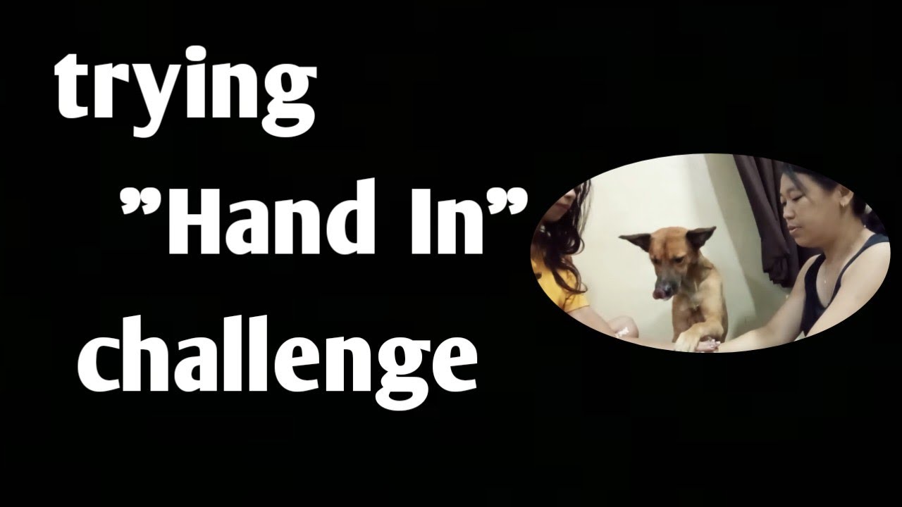 Trying "Hands in" Challenge 