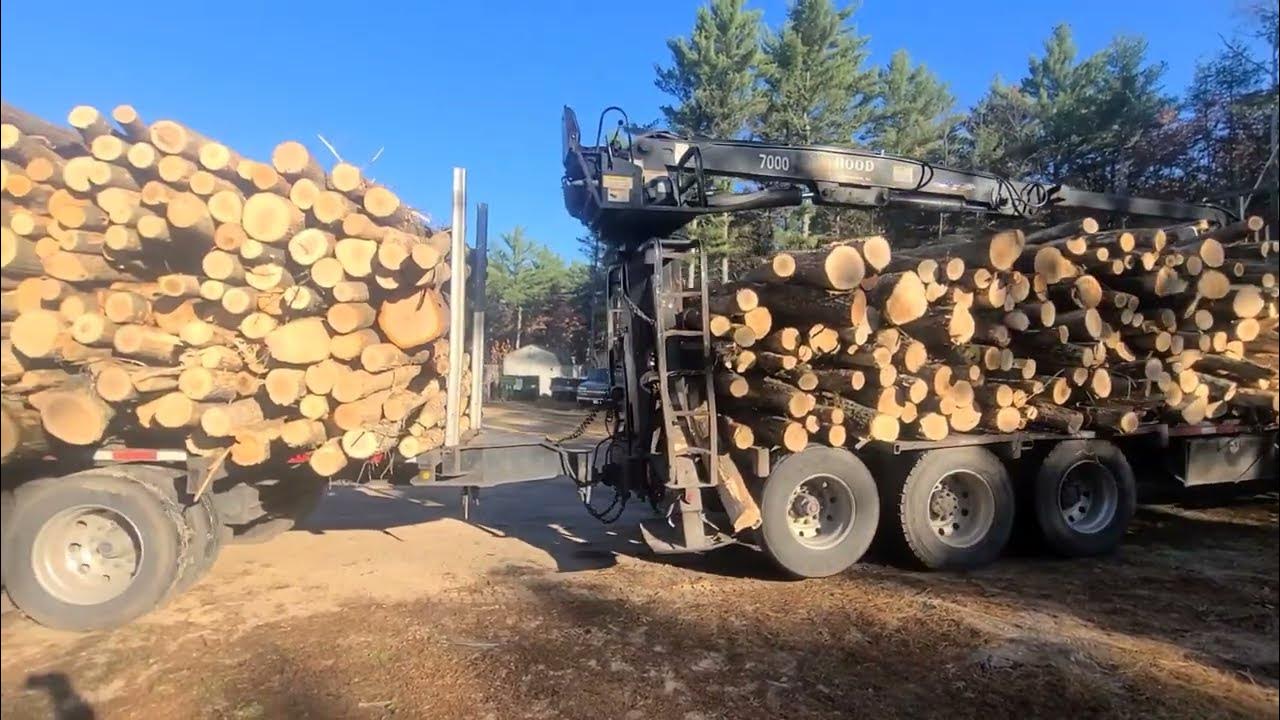 Another load of logs in the woodyard! YouTube