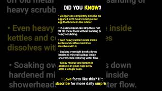This Liquid Melts Eggshells