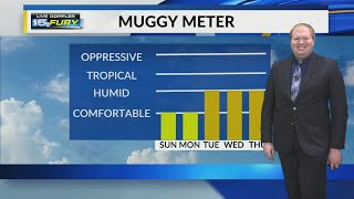 Clear skies and cool air in store Saturday night