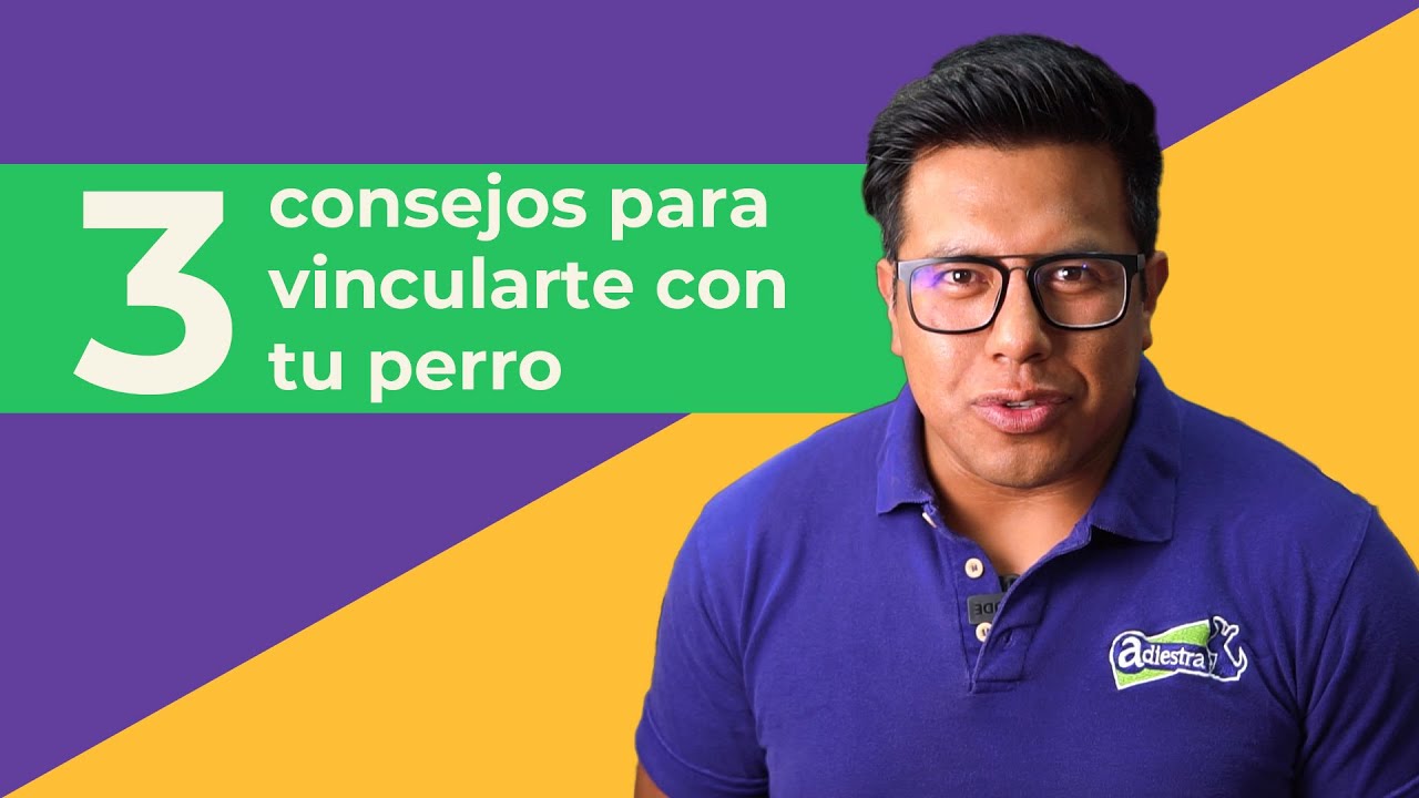 CONSEJOS para Mejorar el VÍNCULO con tu perro