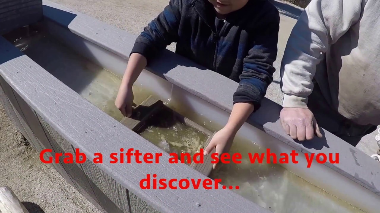 wildlife world zoo prices Mining Experience 2017