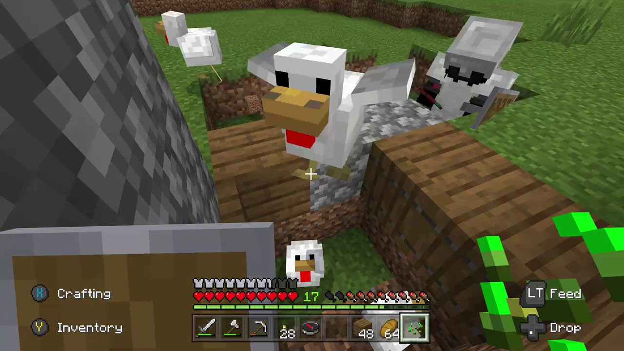 Minecraft WE NEED CHICKENS with themikephx YouTube