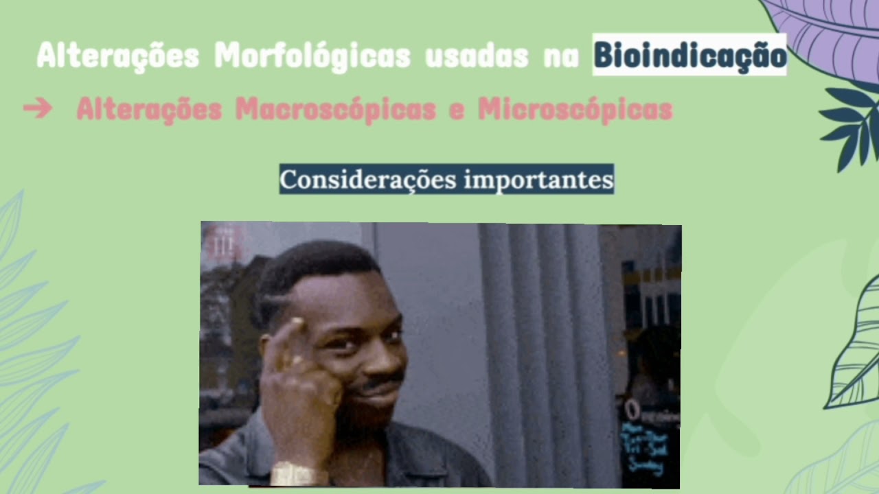 Biomonitoramento - Saúde Ambiental