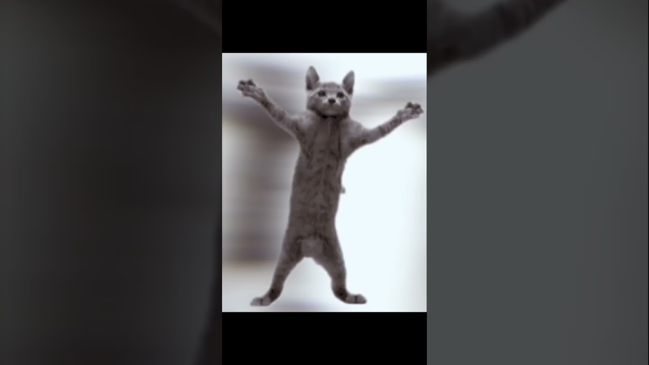 НЕРЕАЛЬНО КРУТОЕ ВИДЕО.mp4 