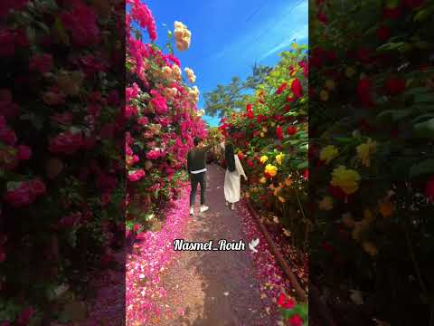 لزرعلك بستان ورود 