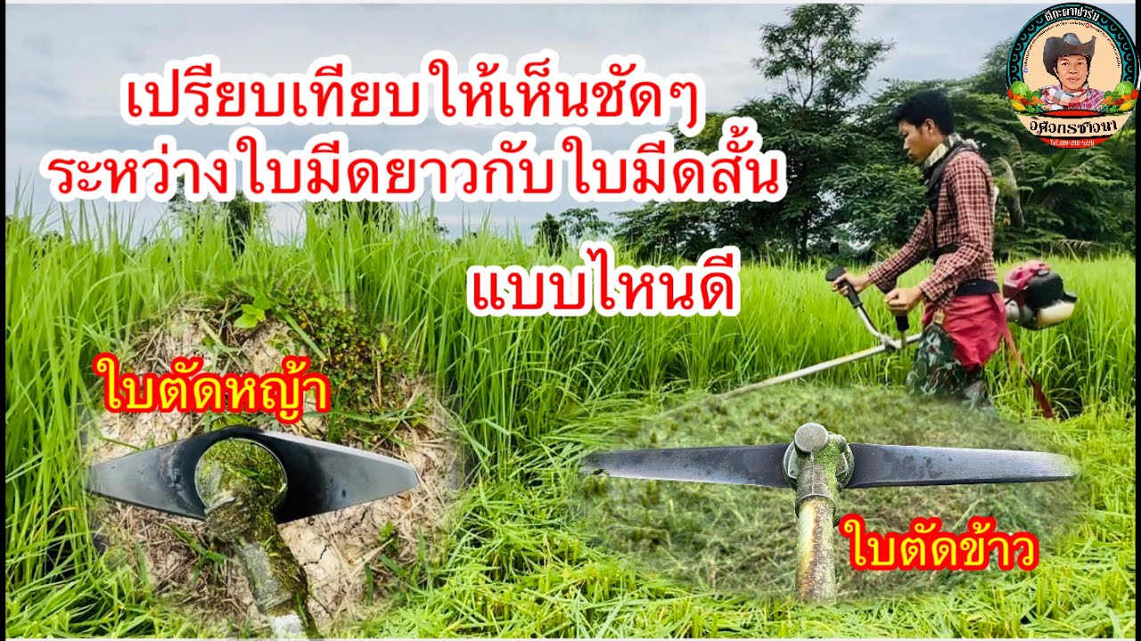 เปรียบเทียบให้ดูกันชัดๆ ระหว่างใบมีดตัดข้าวโดยเฉพาะกับใบมีดตัดหญ้าทั่วไปจะต่างกันอย่างไร 
