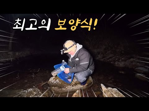 <strong>겨울철</strong> 최고의 <strong>보양식</strong>!