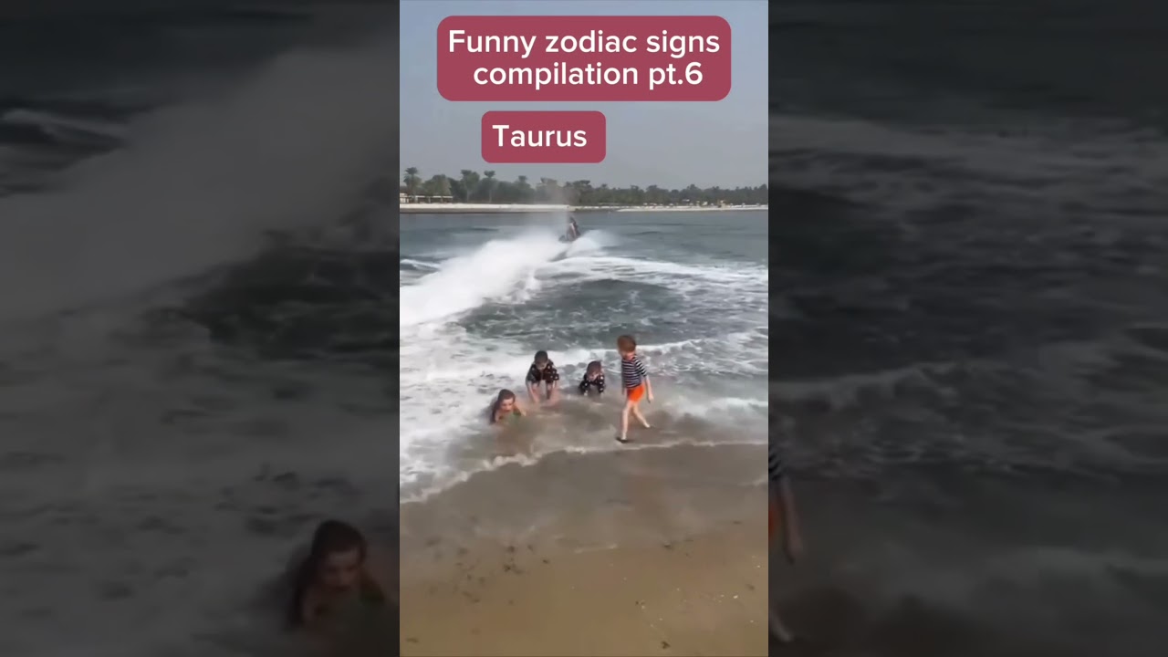 Funny zodiac signs compilation pt. 6 