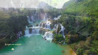 La Sagesse Des Montagnes - Stephen Sicard Logos