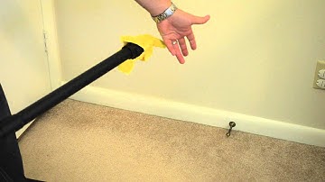 Treat Baseboards for Bed Bugs with a Steamer