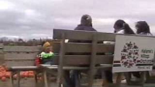 Pumpkin Patch 2004