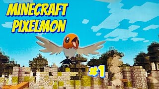 Minecraft | CHOOSE YOUR STARTER  | Pixelmon Mod #1