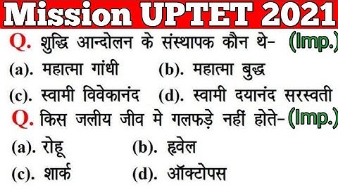 UPTET 2021 || Junior Super TET EVS Most Important Questions || Super TET