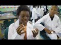 A Look Inside Kid Doc Summer Camp 
