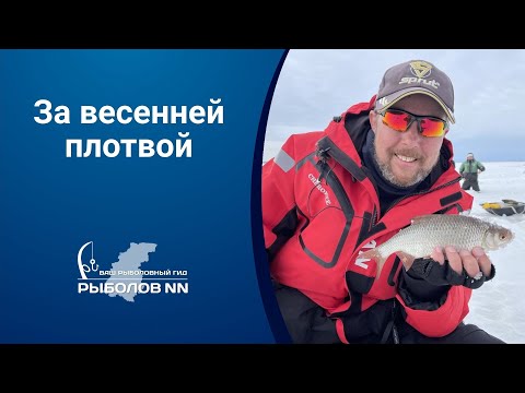 За весенней плотвой на Горьковское водохранилище. Сработал план «Б».