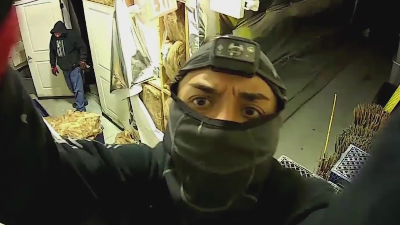 Thieves cut into Kelso facility, steal $250K worth of pot