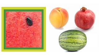 Fruit Inside & Out Quiz｜水果內外猜謎