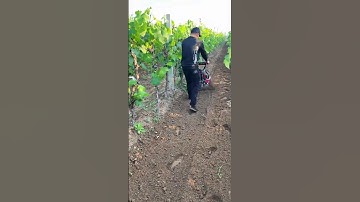 weeding, rotary tillage, furrowing and soiling one machine for multiple uses small gasoline micro-ti