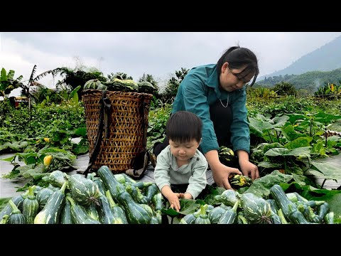 SINGLE MOM_ Go into the forest and set traps_Harvest Pumpkins and go to ...