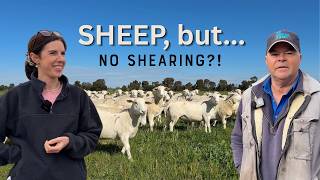 Inside a Different Farming Operation | Crozier's Farm, Sherwood SA