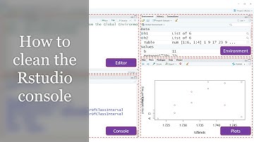 How to clean the console in Rstudio?