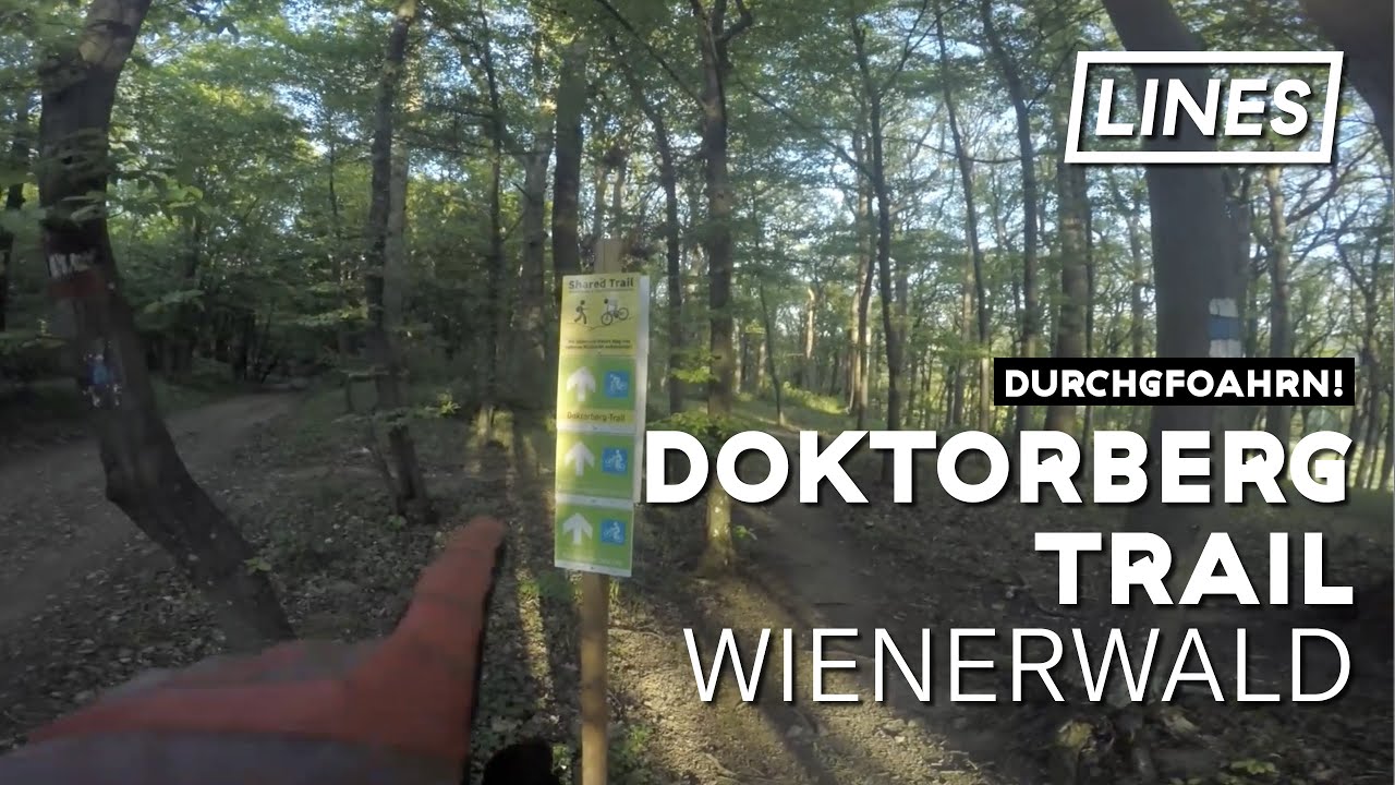 Doktorberg Trail - Wienerwald | LINES