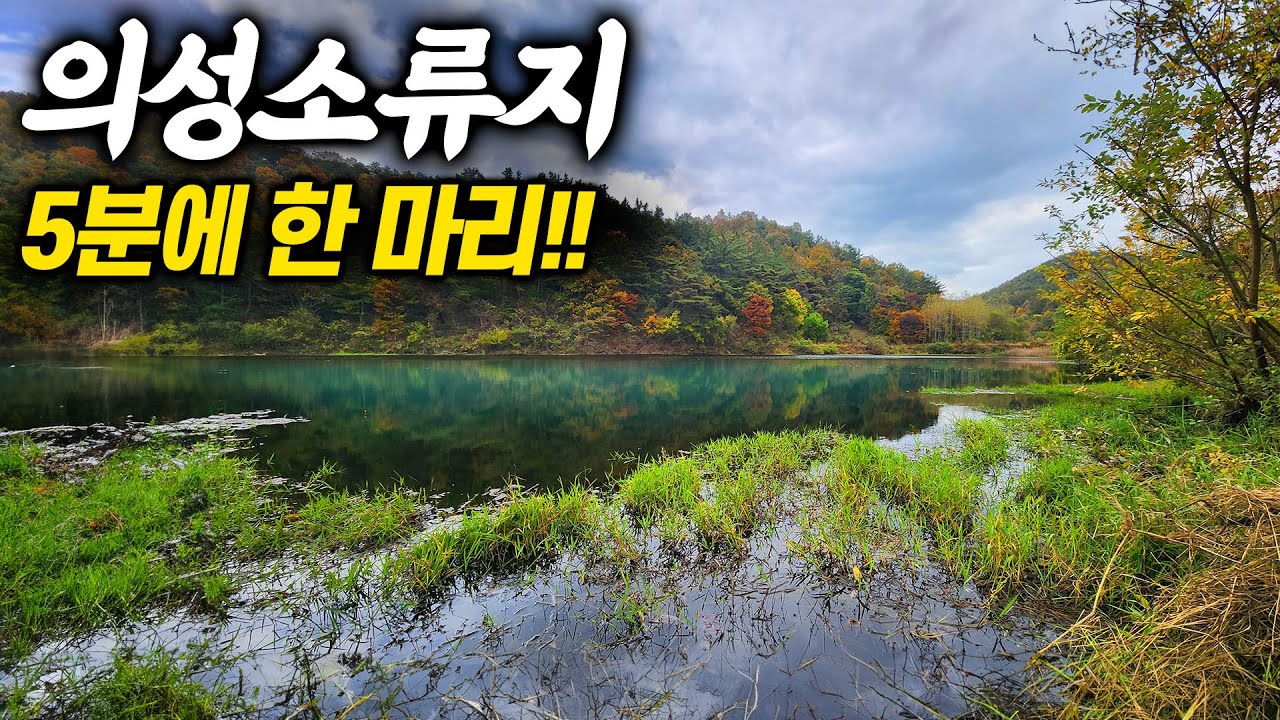 소문 듣고 갔더니 벌써 바글바글… 이게 의성의 낚시 명당?