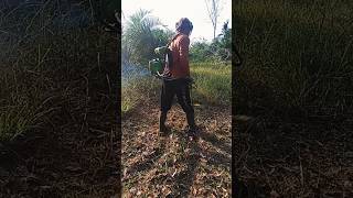 ASMR cutting grass satisfying