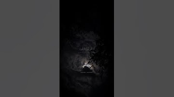 حالات واتس قران كريم | محمد صديق المنشاوي | ام تامرهم احلامهم بهذا ام هم قوم طاغون